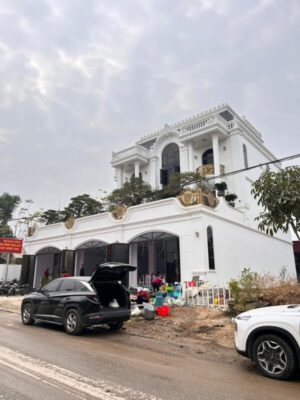 biệt thự tân cổ điển